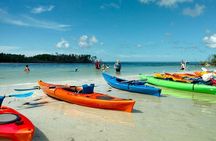 Kayak Adventure of Shell Key Preserve & Island with a Local