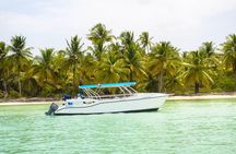 Saona Island Day Trip + Lobsters Included