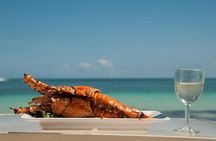 Saona Island Day Trip + Lobsters Included