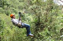 Mindo Cloud Forest Full Day Tour from Quito