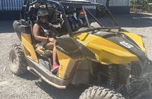4WD Terracross + Breef Safari + River Cave and Macao Beach