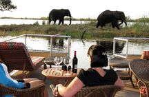 Chobe Full Day Trip from Kasane, Botswana