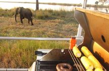 Chobe Full Day Trip from Kasane, Botswana