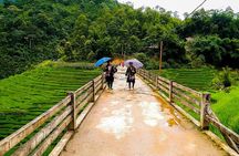 Muong Hoa Valley Trek & Homestay Experience - 4D3N