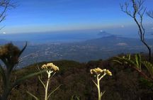 Private Sulawesi Sunrise Trekking at Mount Klabat