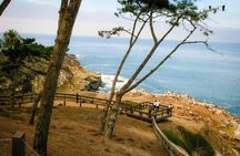 La Jolla Electric Bike Tour