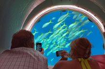 Ocean Lens - Guided Tour at Curaçao Sea Aquarium