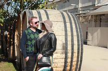 Concha y Toro Vineyard Traditional Tour