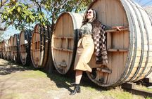 Concha y Toro Vineyard Traditional Tour