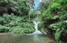 Bali Seven Wonder Waterfalls Trekking