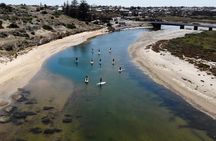 Coast to Vines: E-bike*, Paddle Board and Wine Tour (2 options)