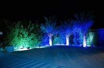 Standard Desert Safari, camel ride, BBQ Dinner, Belly Dance Show, Pick & Drop 