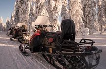 Arctic Circle Snowmobile Safari for Beginners in Rovaniemi