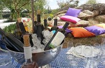 Full-Day Wine Tour from Istanbul