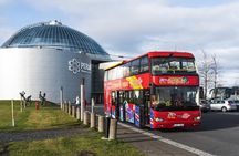 The Golden Circle and City Sightseeing