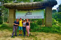 Private Tour - Coffee Tour (Cultivations) 
