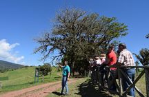 Corso Lecheria Tour