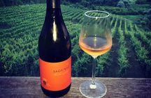 Plesivica Region Wine Tasting Half-day Tour 