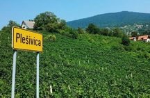 Plesivica Region Wine Tasting Half-day Tour 