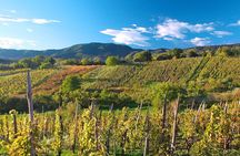 Plesivica Region Wine Tasting Half-day Tour 