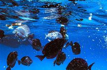 VIP Morning Delight Champagne Sailing and Snorkeling with Lunch