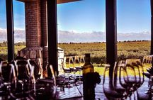 Small Group tour 3 wineries in Luján de Cuyo or Maipú with lunch