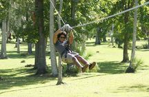 Zipline Adventure through Tuscawilla Park