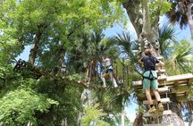 Zipline Adventure through Tuscawilla Park