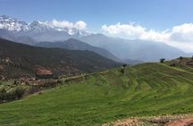 All Inclusive Atlas Mountains & 5 Valleys Day Tour from Marrakech