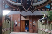 Culture Experience at Lesedi Cultural Village