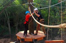 Aerial Challenge Course