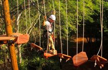 Aerial Challenge Course