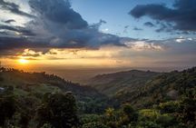 Quindío's Magical Towns experience from Salento