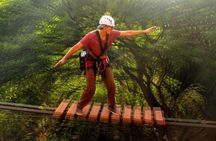 Zipline & Adventure Tower Package