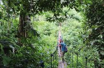 Full day of adventures in Tambopata