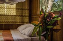 Eco Jungle - 3 Days / 2 Nights