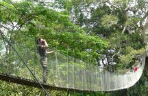 Eco Jungle 3 Days - 2 Nights