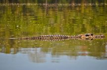 Eco Jungle 3 Days - 2 Nights