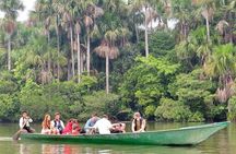 Jungle Eco Jungle And Adventure - 4 Days / 3 Nights