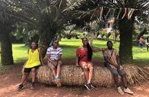 Ghana Eastern Explorer - Boti Falls, Aburi Gardens & Tetther Quarshie Cocoa Farm