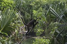 Chacchoben Mayan Ruins & Bacalar Lagoon with Certified Guide