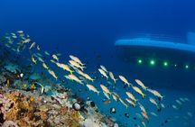 Maui Atlantis Submarine Adventure