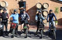 Best of McLaren Vale: E-bike and Wine Tour (2 options available)