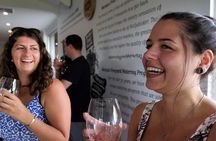 Best of McLaren Vale: E-bike and Wine Tour (2 options available)