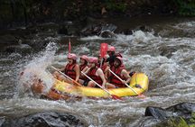 Small Group Ayung River Rafting Experience in Ubud