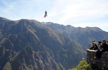 Colca Canyon + Transfer To Puno