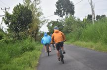 Bali Cycling Tour with Private Hotel Transfer 