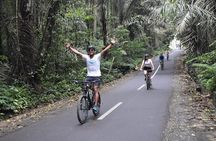 Private Ubud Cycling Tour Through Rice Fields and Villages