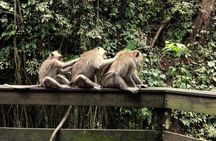 Ubud Surounding Tour