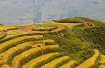 Sapa Motorbike Tour 1 Day| See All Of Rice Fields & Valleys in One Day